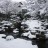 雪契