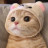 猫懋
