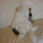 斑点猫