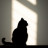 猫尾巴先生