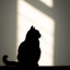猫尾巴先生