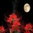 秽月之夜