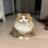 蓝莓蓝猫
