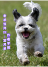 老羊说异22.堂兄弟